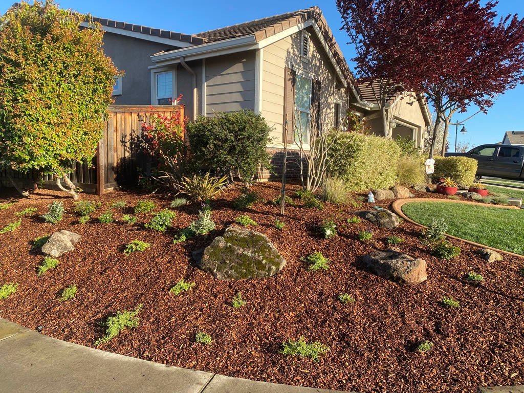 Suburban home with landscaped front yard and mulch.