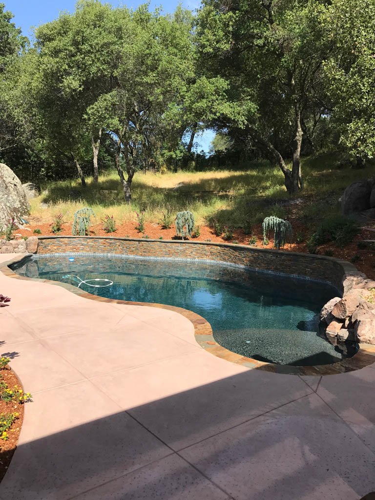 Outdoor pool with natural stone edge surrounded by trees.