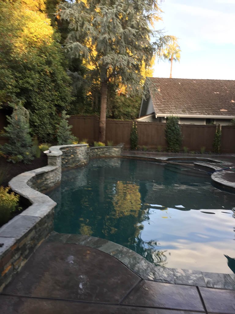 Backyard pool surrounded by lush trees and stone pathway.