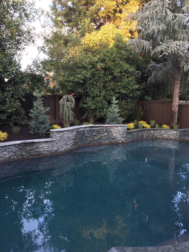 Backyard swimming pool with stone wall and lush trees.