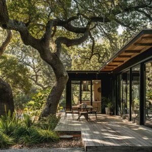 Modern house nestled under large oak trees