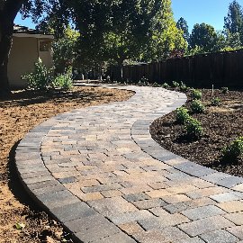 Curved brick pathway in sunny backyard garden