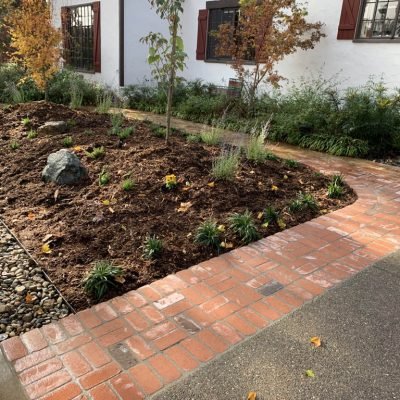 Freshly landscaped garden by white house with brick path.