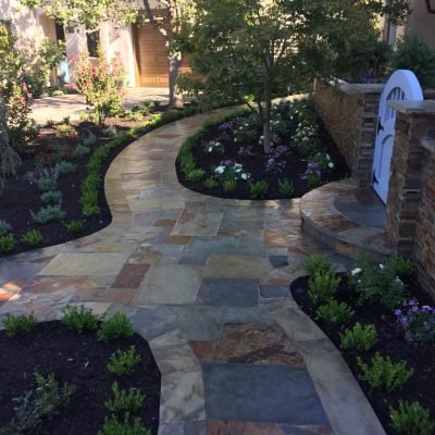 Beautiful garden pathway with vibrant plants and stone tiles.