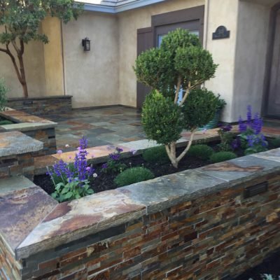 Elegant courtyard with topiary and stone wall landscaping.