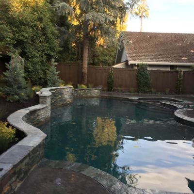 Backyard pool surrounded by lush trees and stone pathway.