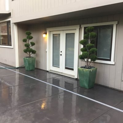 House entrance with potted topiary trees.