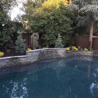 Backyard swimming pool with stone wall and lush trees.