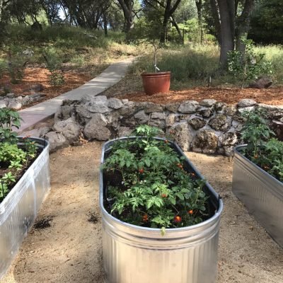 Community garden with raised beds and stone pathway.