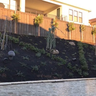 Hillside garden with homes and sunset.