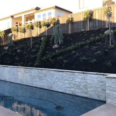 Backyard pool with landscaped hill and retaining wall.