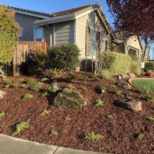 Suburban home with landscaped front yard and mulch.